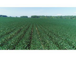 Farmland in Fulton & Marshall Counties, Indiana - LAND AUCTION - 541.3+/- ACRES IN 9 TRACTS IN FULTON & MARSHALL COUNTIES, INDIANA